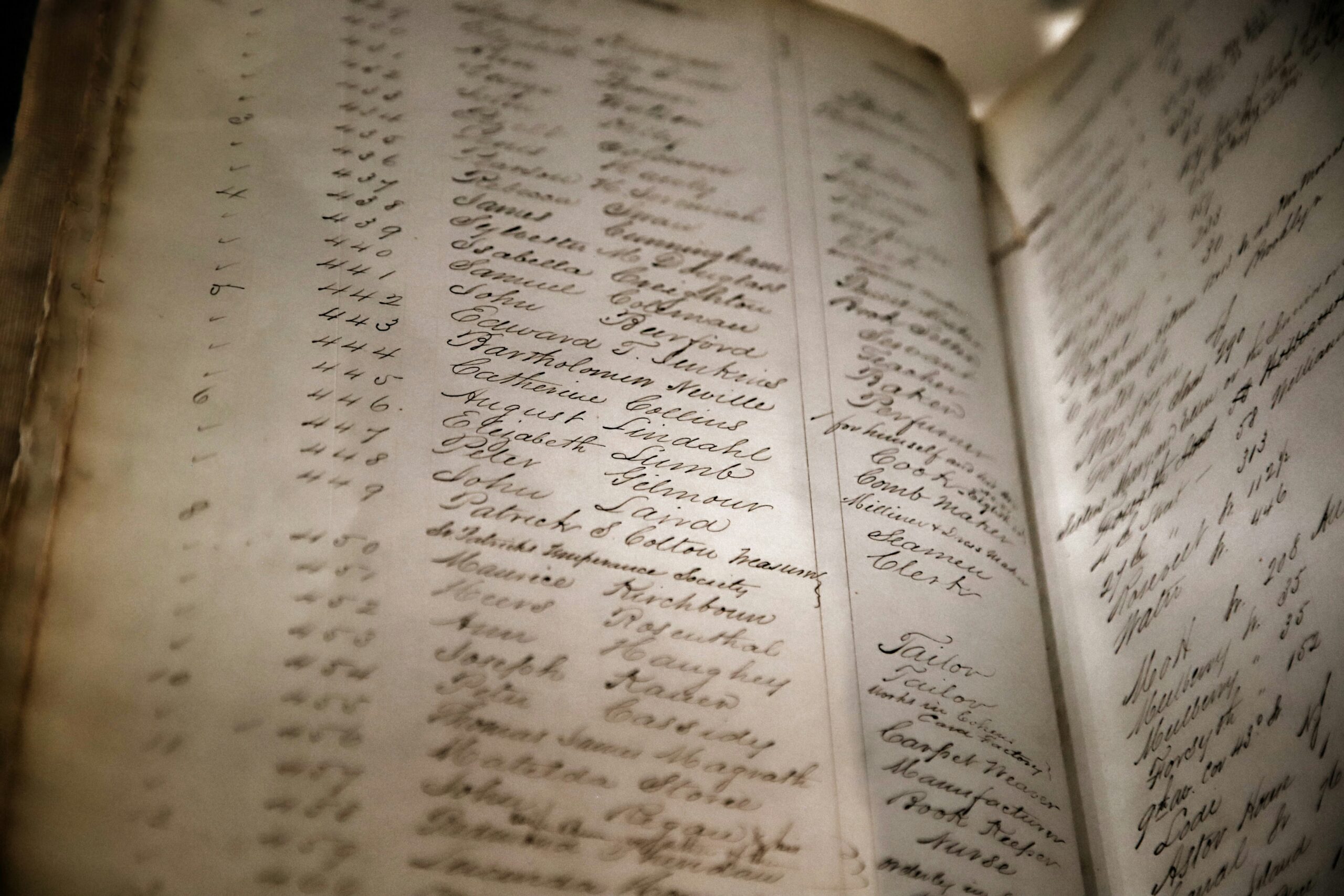 genealogy2
